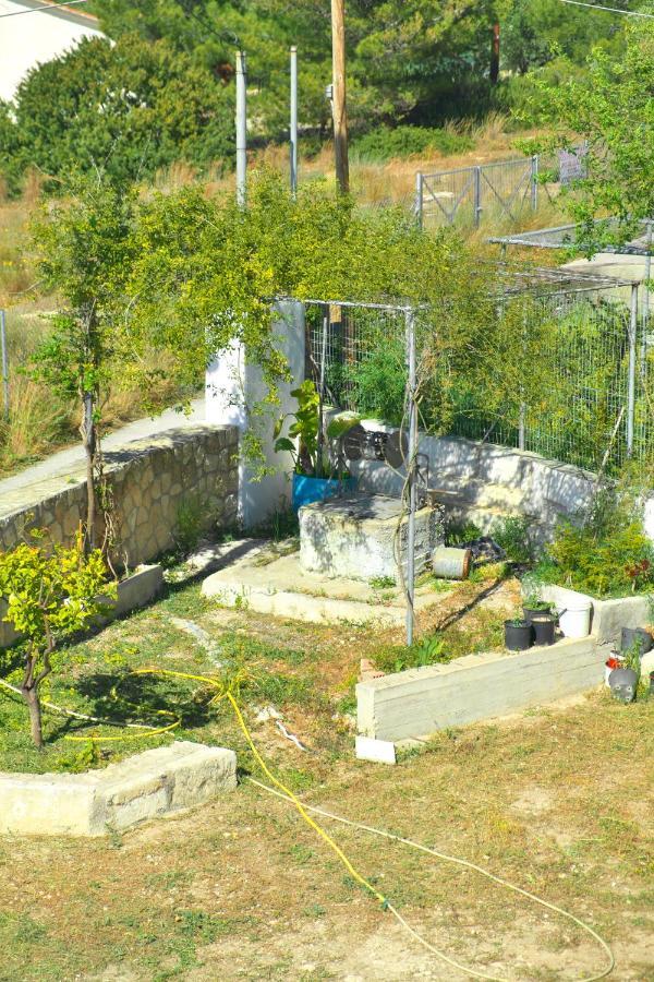 Georgia'S House Villa Aegina Exteriör bild